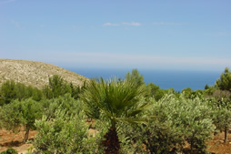 Holidays baglio